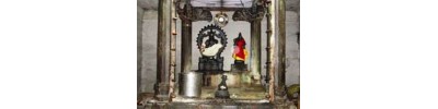 வெங்கனூர்